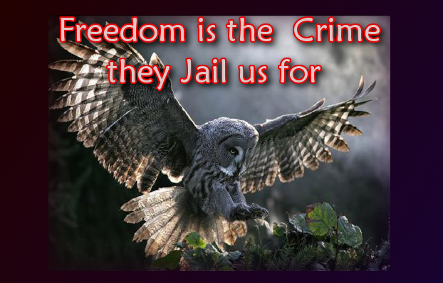 Freedom is the crime