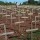 Coverup: Damning US/UK Role in 1994 Rwandan Genocide